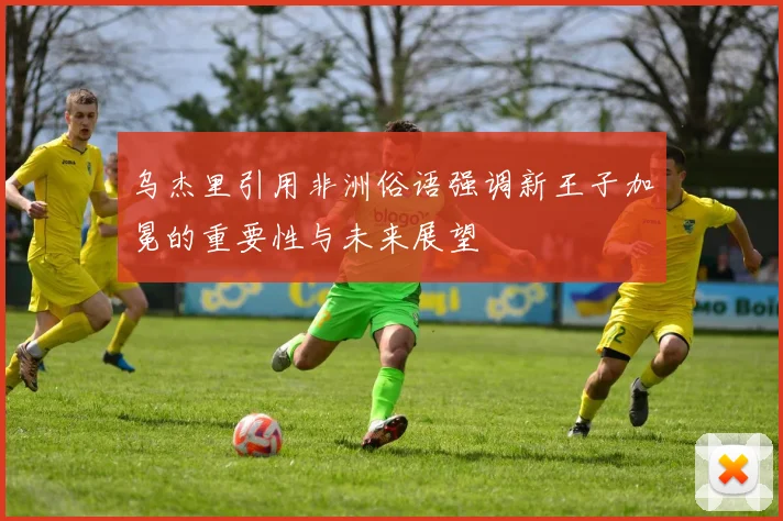 乌杰里引用非洲俗语强调新王子加冕的重要性与未来展望